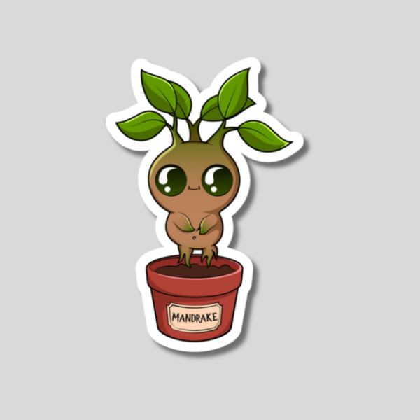 Cute Mandrake