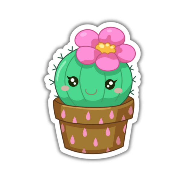 Cute cactus