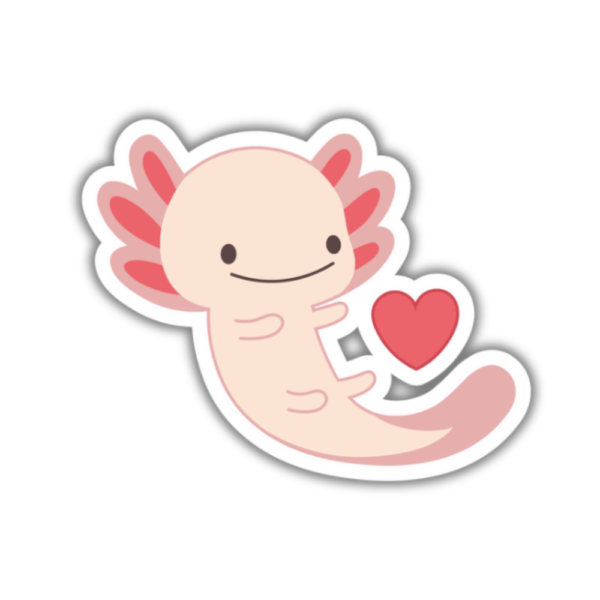 Cute axolotl