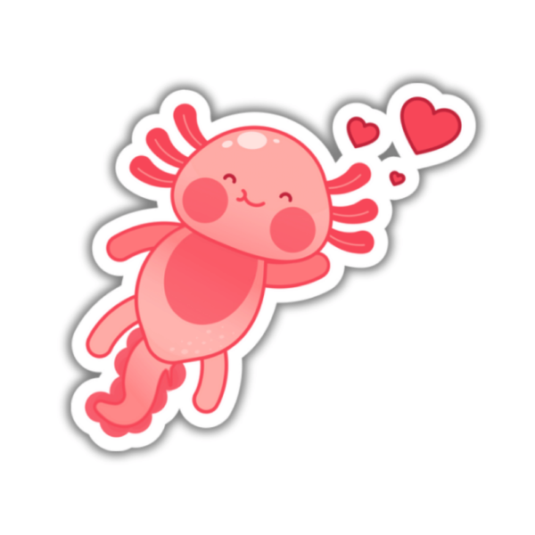 Axolotl heart